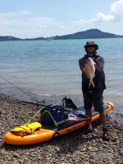 4 pound snapper of my paddleboard