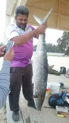 The Great King Fish 19 KG at Jubail Fanateer