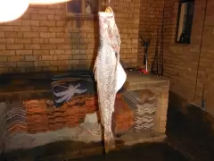 The one that didn't get away..