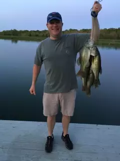 Bass are biting