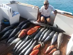 Redsea,Egypt