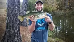 a Decent one