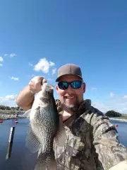 Biggens and plenty of them....