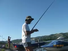 Fishing for whitefish