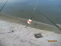 fishing pike