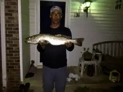 Good speckle trout night!