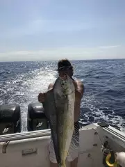 Mahi