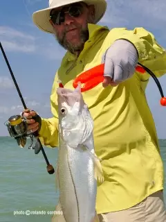 snook with DUO lure