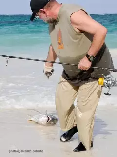 Jack with Daiwa carp rod, Cancun, Mexico