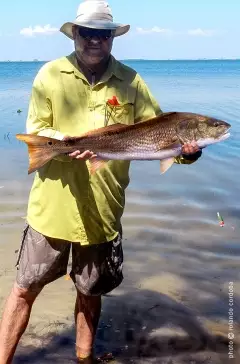 Red with live bait, Ghandy Bridge, St. Pete, FL