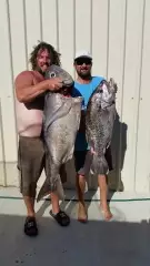 Tervalla and Dhufish