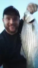 an 8 lb hybrid