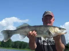 walleye