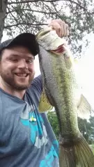 Topwater Frog Action