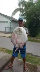 Interesting Catch