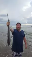 5 Sharks to go with our rays