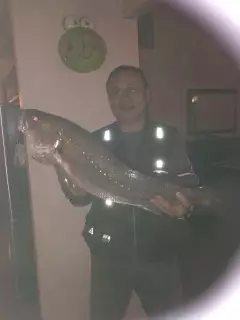 Nice Jewfish