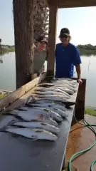 Good Morning for Trout Fishing on the Bay