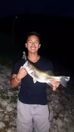 Night time Top Water Surprise
