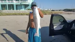 Red Fish