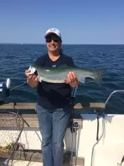 King salmon Lake Superior