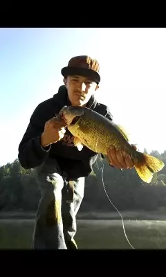 largemouth