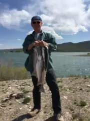 Rainbow trout
