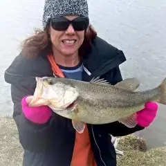 January Catch