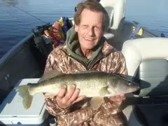 walleye