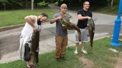 Stony creek anglers asso. Oct. catfish Derby