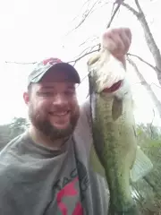 good fall bite