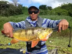 Tucunarรฉ