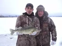 walleye