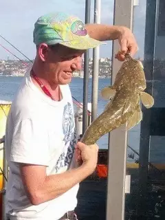 Pb 90cm flathead darling point sydney