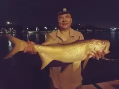 Brisbane river catch at night