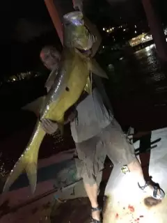 My record catch, King Salmon from Brisbane River