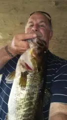 Nice bass