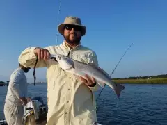 Redfish