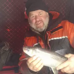 Temagami