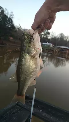 Lake Greenwood, SC