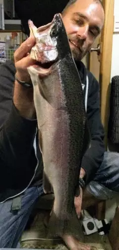 Another one from the trout front - Lake Mc Gregor, NZ