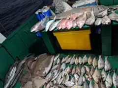 Family fishing Trip on 17th till 19 Mar 2018