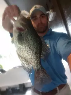 crappie in the cold