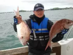 Winter Snapper