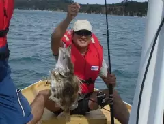 John Dory ( Kawaw Island )