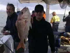 Fish of the day, Auckland Harbour