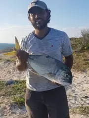 Monster jack