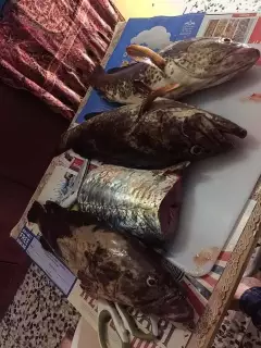 Abu Dhabi Fishing Escapade_23May2018