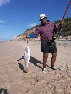 3.5kg Salmon