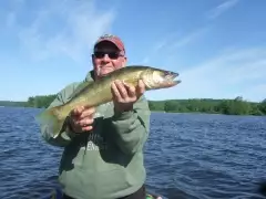 walleye